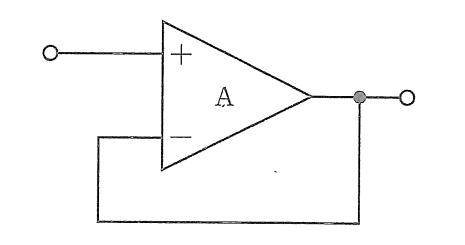 25054