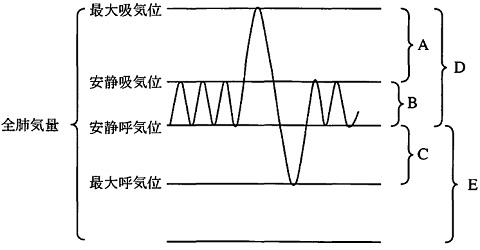 img11214-48-0